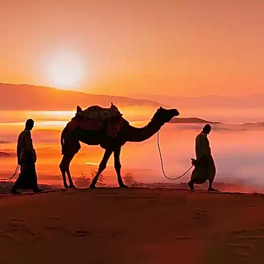 Sömestr Özel Sharm el Sheikh-Kahire ve İskenderiye Masalı 8 Gün–7 Gece Ajet ile