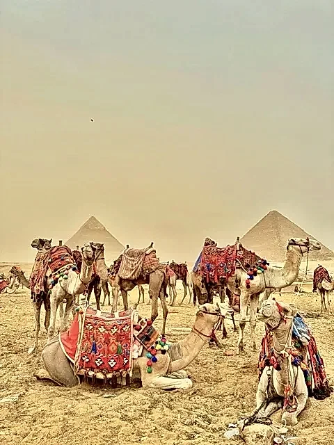 Görsel ALT Başlığı