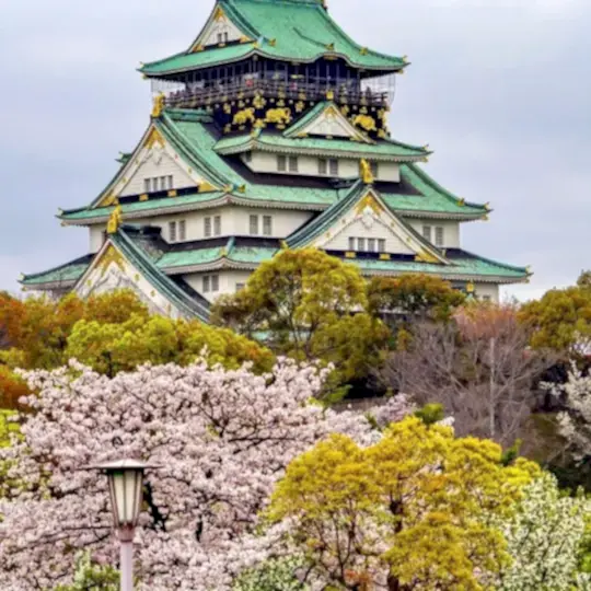 THY ile Grand Japonya Turu-Vizesiz-2026